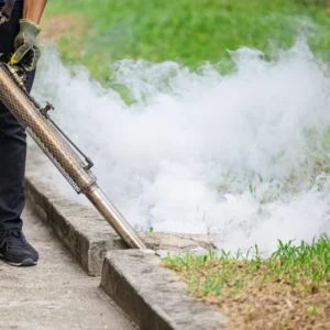 outdoor-mosquito-repellent-fogger-sprayer